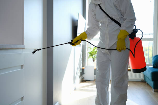 Mold Remediation for Vacation Homes in Lincolndale, NY